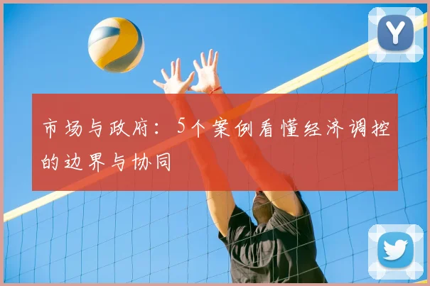 市场与政府：5个案例看懂经济调控的边界与协同